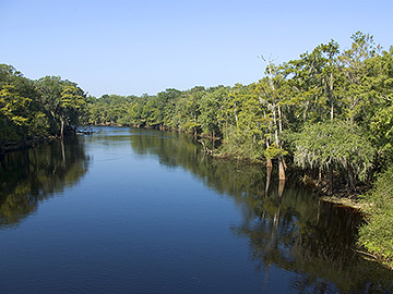 Looking along the Santa Fe River.